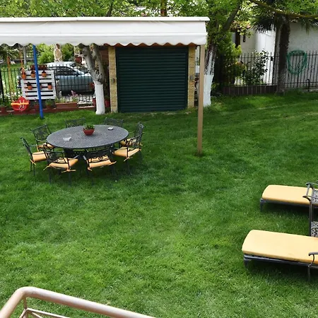 Summer Panorama Studio